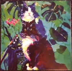 Tinyhawk & Bizzarro : Nekorok (LP, Album)