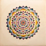 Bryn Haworth : Let The Days Go By (LP, Album)
