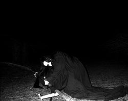 Furze : UTD (LP, Album)