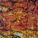 Something Pretty Beautiful : Something Pretty Beautiful (LP, MiniAlbum, Comp)