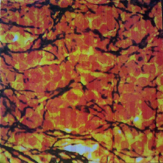 Something Pretty Beautiful : Something Pretty Beautiful (LP, MiniAlbum, Comp)