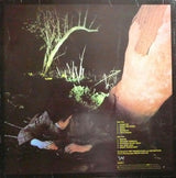Echo And The Bunnymen* : Crocodiles (LP, Album)