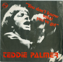 Teddie Palmer : You Don't Know What You've Got (7