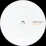 Ovatow : Phalaenopsis (12", RP)