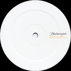 Ovatow : Phalaenopsis (12