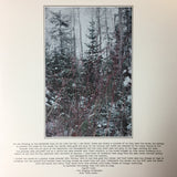Panopticon (6) : The Scars Of Man On The Once Nameless Wilderness Part 2 (2xLP, Album, Gre)