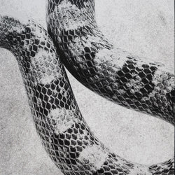 Noah Gundersen : I'm Alright / White Noise (7