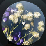 Tomberlin : At Weddings (LP, Album)