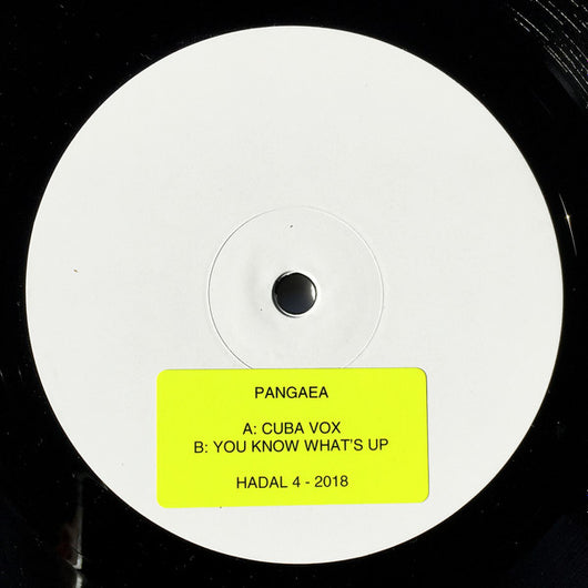 Pangaea (4) : Cuba Vox (12