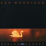 Van Morrison : Avalon Sunset (LP, Album)