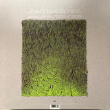 Iron + Wine* : Our Endless Numbered Days (LP, Album, RE, Gra + LP, Gra + Dlx, Ltd)