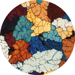 Tooli : Tompkins Square Park (12