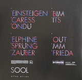 Ellen Allien : Sool (2xLP, Album)