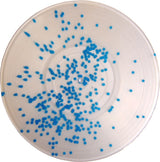 The Third Man / Najemsworb / Plant43 : Various Artists (LP, Ltd, Blu)