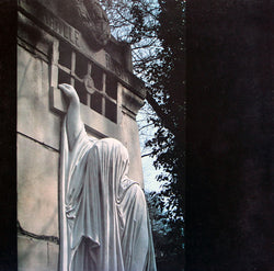 Dead Can Dance : Within The Realm Of A Dying Sun (LP, Album)