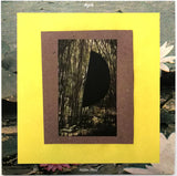 Mujo情 : Hidden Forest (LP, Album)