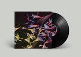 David Collier (6) : Smacht (LP, Album)