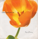 Dee Dee Wilde : Lap Of Luxury (12")