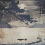 Daithí : L.O.S.S. (LP, Album, Tra)