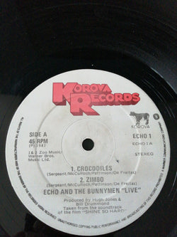 Echo And The Bunnymen* : Shine So Hard (12