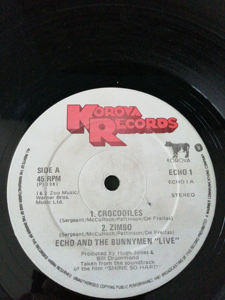 Echo And The Bunnymen* : Shine So Hard (12