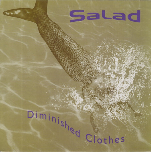 Salad : Diminished Clothes (12