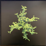 Echonomist : Night Versions EP (12", EP)