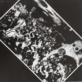 Limp Wrist : Limp Wrist (LP, Album)