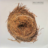 Wilco : A Ghost Is Born (2xLP, Album, Gat)