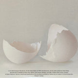 Wilco : A Ghost Is Born (2xLP, Album, Gat)