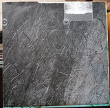 Hugo Largo : Drum (LP, Album)