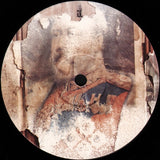 King Creosote : Flick The Vs (LP)