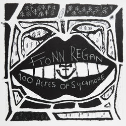 Fionn Regan : 100 Acres Of Sycamore (LP, Album, Ltd, RE, 180)