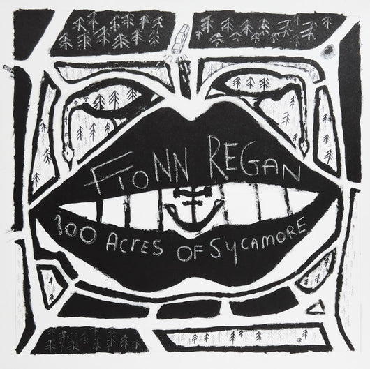 Fionn Regan : 100 Acres Of Sycamore (LP, Album, Ltd, RE, 180)