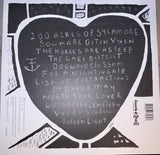 Fionn Regan : 100 Acres Of Sycamore (LP, Album, Ltd, RE, 180)