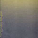 Various : What Was It Like Before I Got Into Electricity (2xLP)