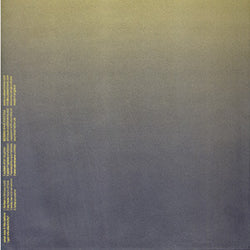 Various : What Was It Like Before I Got Into Electricity (2xLP)