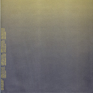 Various : What Was It Like Before I Got Into Electricity (2xLP)