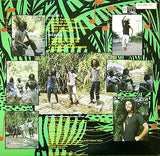 Cedric Myton & The Congos : Face The Music (LP)