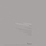 Terrence Dixon : Room 310 (12", EP)