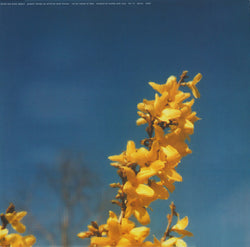 Nedjev / Artificial Duck Flavour : Heofonrice (12