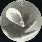 Function : Variance 1-3 (12")