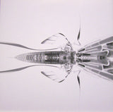 Bola : Mauver (12", EP)