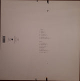 Mountaineers : Messy Century (LP)
