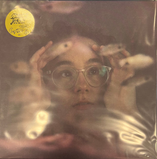 Morgan Harper-Jones : Up To The Glass (LP, Album, Eco)