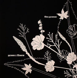 Luciano & Serafin : Funk Excursion (12