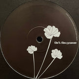 Luciano & Serafin : Funk Excursion (12")