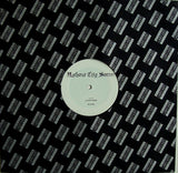 E.R.P. : Lunar Ruins (12", W/Lbl, Sta)