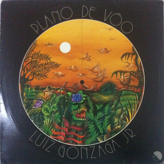 Luiz Gonzaga Jr.* : Plano De Vôo (LP, Album, RE)