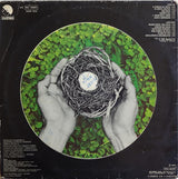 Luiz Gonzaga Jr.* : Plano De Vôo (LP, Album, RE)